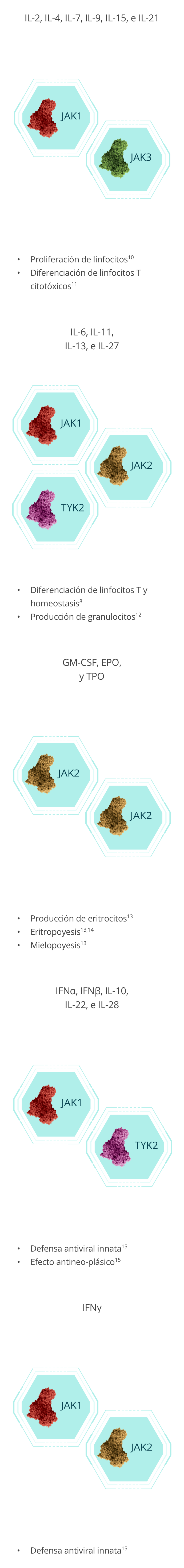 Principales citoquinas de la vía JAK-STAT8